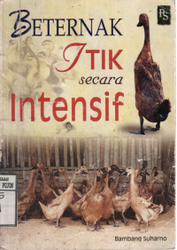 Image of Beternak itik secara intensif