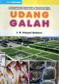 Image of Peluang Usaha Budi Daya Udang Galah
