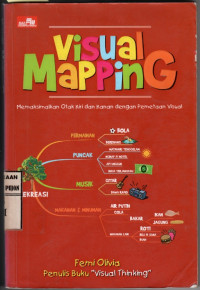 Image of Visual Mapping